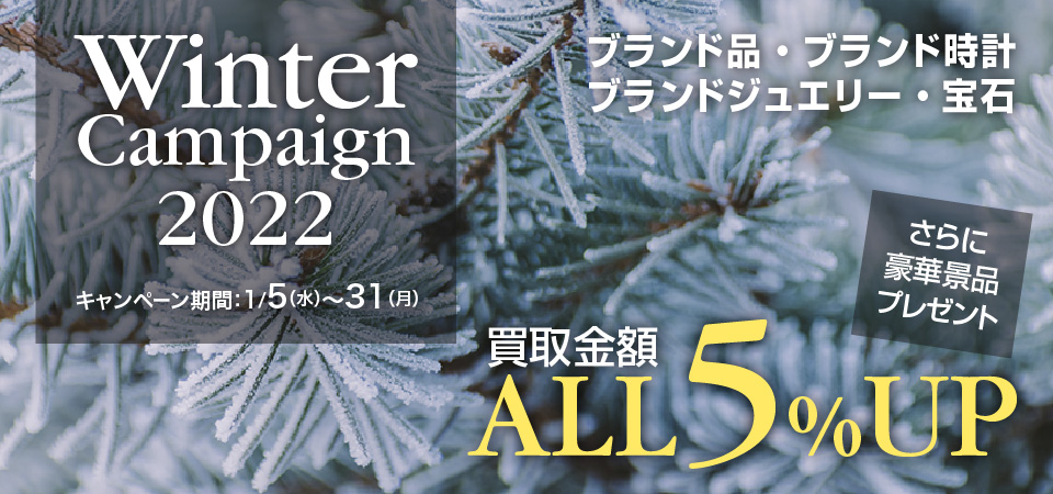 Winter Campaign 2022-01